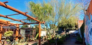 Inaugura el Mercado de “Brota la Tierra”, con una peña en el patio de la huerta