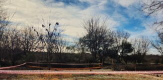 Asentamiento camino a La Paisanita: el Ejecutivo envió un proyecto al Concejo para regularizar la situación