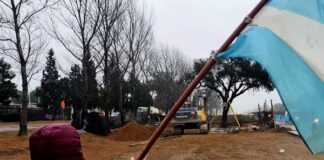 Villa Allende: pese a la resistencia popular, finalmente fue trasladado el quebracho de casi 300 años