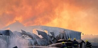 José Ludueña, sobre el incendio en Villa del Prado: “Es una tristeza muy grande, porque muchos vecinos dependen del aserradero”