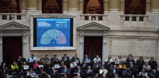 Revés para Milei en Diputados: media sanción al presupuesto universitario, la emergencia del Garrahan y la derogación de las facultades delegadas