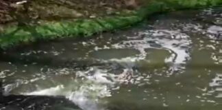 La Municipalidad de Anisacate denuncia la contaminación del arroyo e impulsa la utilización de un biofiltro