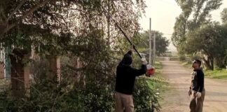 Anunciaron que concluyó oficialmente la temporada de poda en Alta Gracia