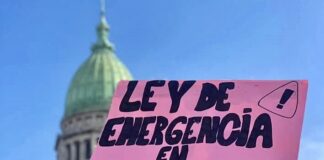 Denunciaron a Milei por las demoras en la publicación de la Ley de Emergencia en Discapacidad