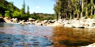 Recolectan registros fotográficos y audiovisuales sobre el impacto de los incendios en el bosque nativo