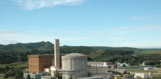 Diputados de UxP presentaron un proyecto para impedir la privatización de Nucleoeléctrica S.A.