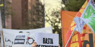 Revelan que en los primeros 30 días del año se cometieron 25 femicidios en el país