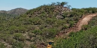 Presentaron denuncia ambiental por desmonte con máquina en la reserva «Canteras del Cerro»