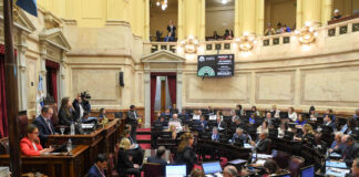 Nuevo revés del Gobierno: el Senado ratificó la Emergencia Pediátrica y el Financiamiento Universitario