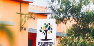 Realizarán un taller de reconocimiento de plantas medicinales en la Biblioteca Sarmiento