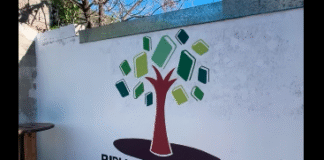 La «Biblio Sarmiento» inicia los festejos por su cumpleaños 94 con cine al aire libre