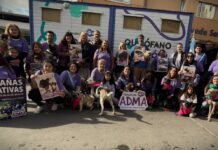La fundación Adma solicita hogares de tránsito para alojar a los animales rescatados