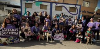 La fundación Adma solicita hogares de tránsito para alojar a los animales rescatados