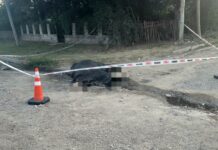 Descarga eléctrica en Parque Virrey: la abogada de la familia amplió la denuncia y apunta a un empleado municipal