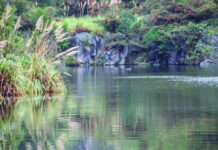 Alertan sobre el riesgo que conlleva la obra vial de la Provincia en la Reserva Natural de la Defensa La Calera