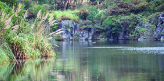 Alertan sobre el riesgo que conlleva la obra vial de la Provincia en la Reserva Natural de la Defensa La Calera