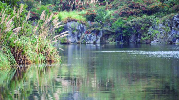 Reserva Natural en Defensa de La Calera 2