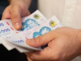 El bolsillo en la era Milei: los salarios registrados se encuentran un 8,2% por debajo de noviembre de 2023