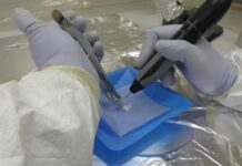 Investigación liderada por un científico cordobés identificó un componente genético propio del centro de Argentina