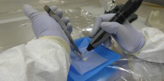 Investigación liderada por un científico cordobés identificó un componente genético propio del centro de Argentina