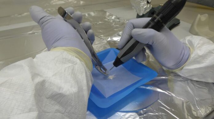 Trabajo en laboratorio (IDACOR)