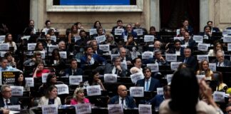 El Gobierno no pudo derogar la emergencia en discapacidad y el financiamiento universitario