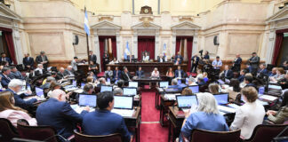 Con el apoyo de sus aliados en el Senado, el Gobierno logró la aprobación del Presupuesto