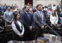 «Por una Argentina federal»: Carolina Basualdo juró como diputada nacional electa