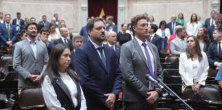 «Por una Argentina federal»: Carolina Basualdo juró como diputada nacional electa