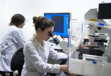 Ajuste en ciencia: el Gobierno de Milei dio de baja proyectos de investigación que ya estaban aprobados