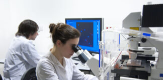 Ajuste en ciencia: el Gobierno de Milei dio de baja proyectos de investigación que ya estaban aprobados