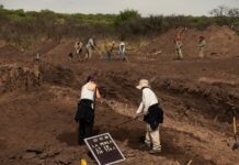 Concluyó la primera etapa de excavaciones en La Perla, con hallazgo de restos óseos y evidencia de fosas