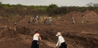 Concluyó la primera etapa de excavaciones en La Perla, con hallazgo de restos óseos y evidencia de fosas