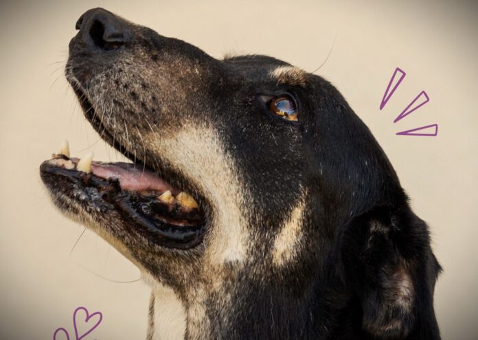 Pirotecnia Zero (ADMA)