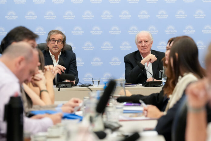 Plenario de Comisiones en Diputados