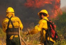 Brigadistas de Parques Nacionales le reclamaron condiciones dignas de trabajo al gobierno nacional