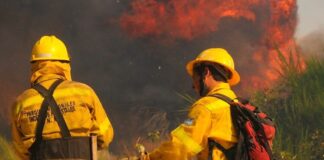 Brigadistas de Parques Nacionales le reclamaron condiciones dignas de trabajo al gobierno nacional