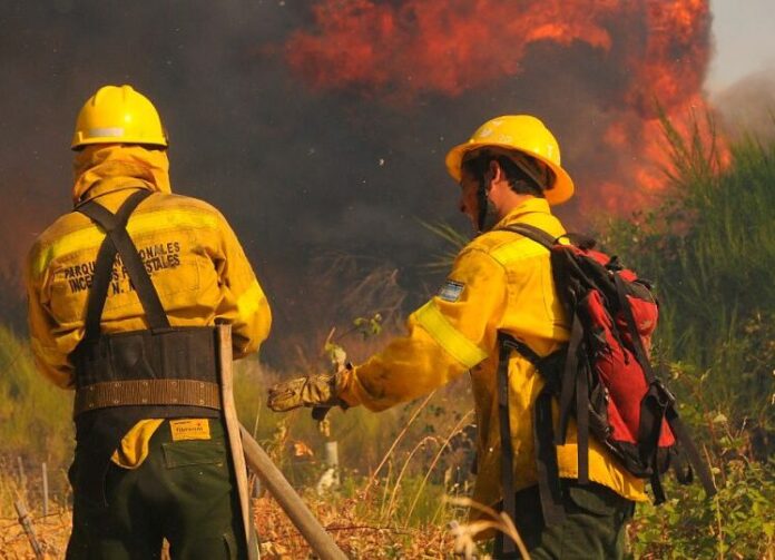 Brigadistas de Parques Nacionales (gentileza)