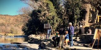«Con Amor al Río»: artistas visuales vuelven a reunirse para retratar el paisaje de Los Aromos
