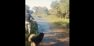 El arroyo Falda del Carmen desbordó y vecinos piden a la Comuna acciones «eficientes e inmediatas»