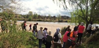 Guías de turismo: crean un registro provincial para profesionalizar al sector