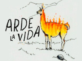 Festival reunirá a artistas cordobeses en solidaridad con familias y bomberos afectados por los incendios en la Patagonia