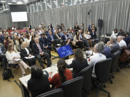 Glaciares: en la audiencia pública que dejó al 99% de los inscriptos afuera, la idea oficialista recibió fuertes críticas