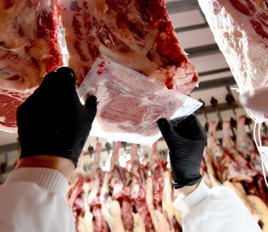 El IETSE relevó en febrero un 4,2% de aumento en los alimentos, con un alza de la carne del 19%