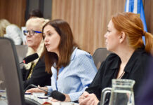 Carolina Basualdo fue designada como presidenta de la Comisión de Asuntos Municipales de Diputados