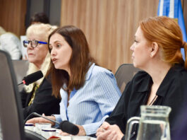 Carolina Basualdo fue designada como presidenta de la Comisión de Asuntos Municipales de Diputados