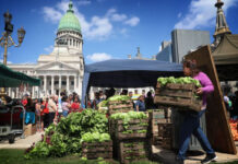 Movimientos sociales lanzan un plan de lucha para resistir la eliminación del programa «Volver al Trabajo»
