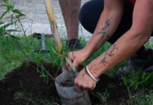En una jornada de forestación comunitaria, recordaron a víctimas de femicidios de la región