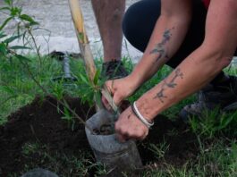 En una jornada de forestación comunitaria, recordaron a víctimas de femicidios de la región