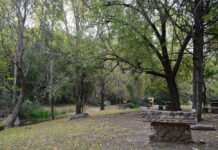 La Rancherita: invitan a una jornada para conocer especies exóticas invasoras que afectan los ambientes